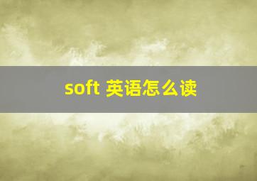 soft 英语怎么读